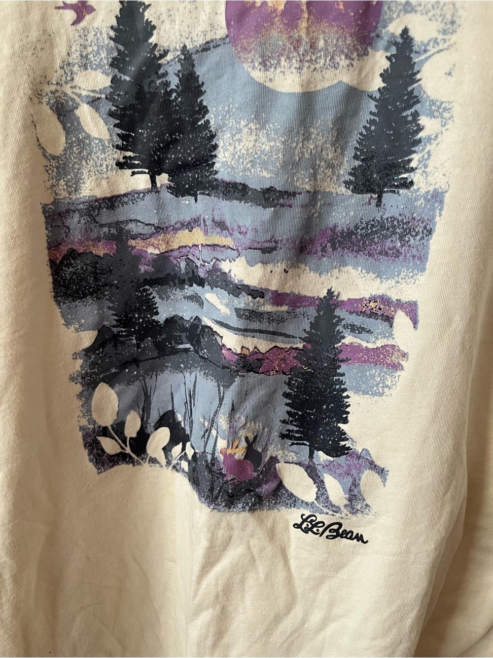 L.L Bean XL gently loved Cream Graphic Sunset Forest Tee - Picture 4 of 16